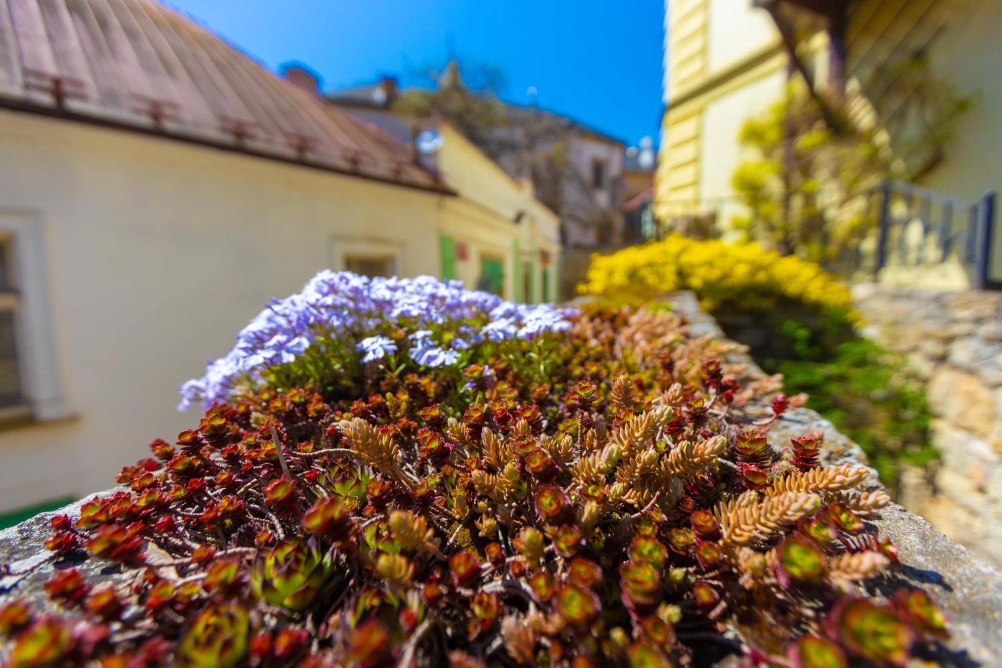 Penzion U Hradku Kutna Hora Bagian luar foto